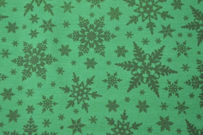 Jersey | Jesse Schneesterne | grün